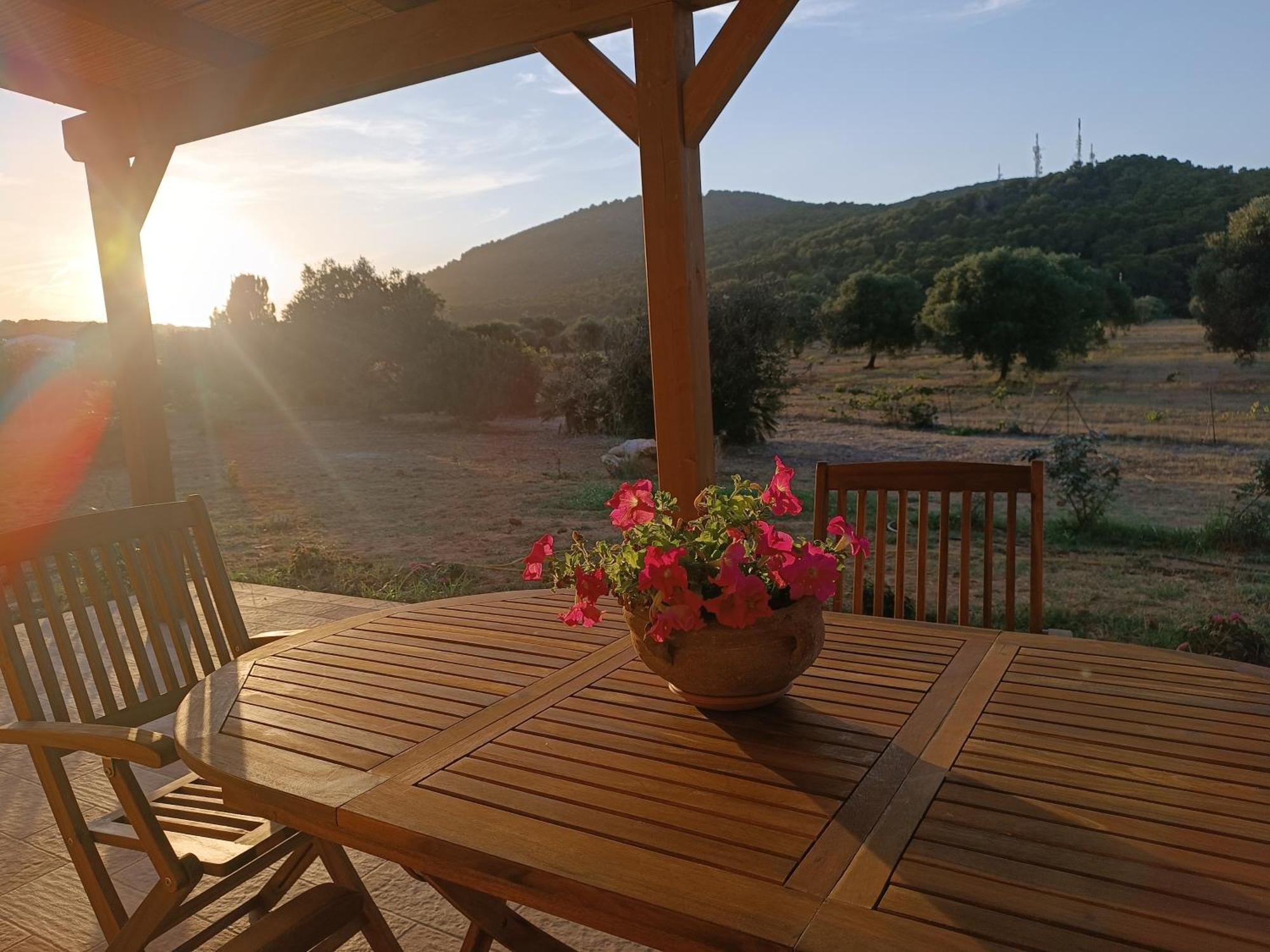 Bombarde Natural House Apartment