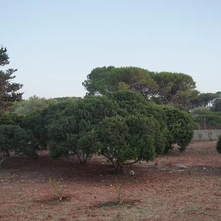 Bombarde Natural House Alghero Exterior photo